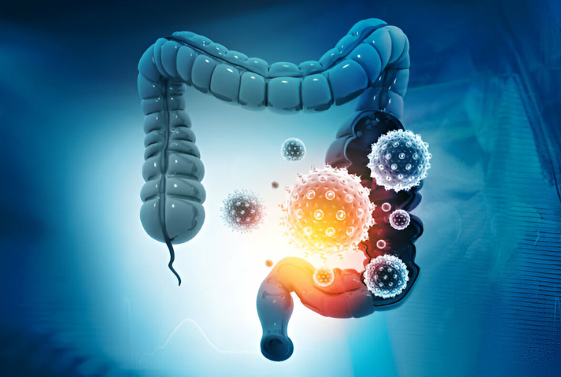 The Gut Microbiome: A Powerful Player in Your Overall Health