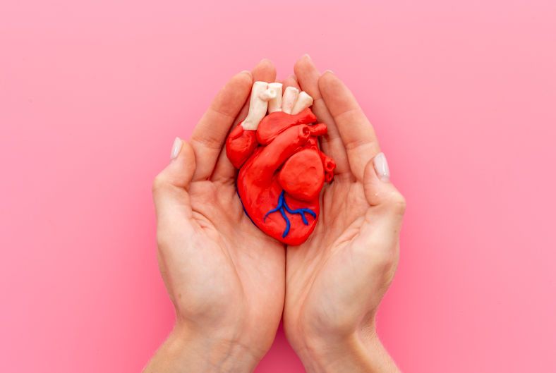 The Heart of Wellness: Understanding the Connection Between Heart Health and Overall Well-Being